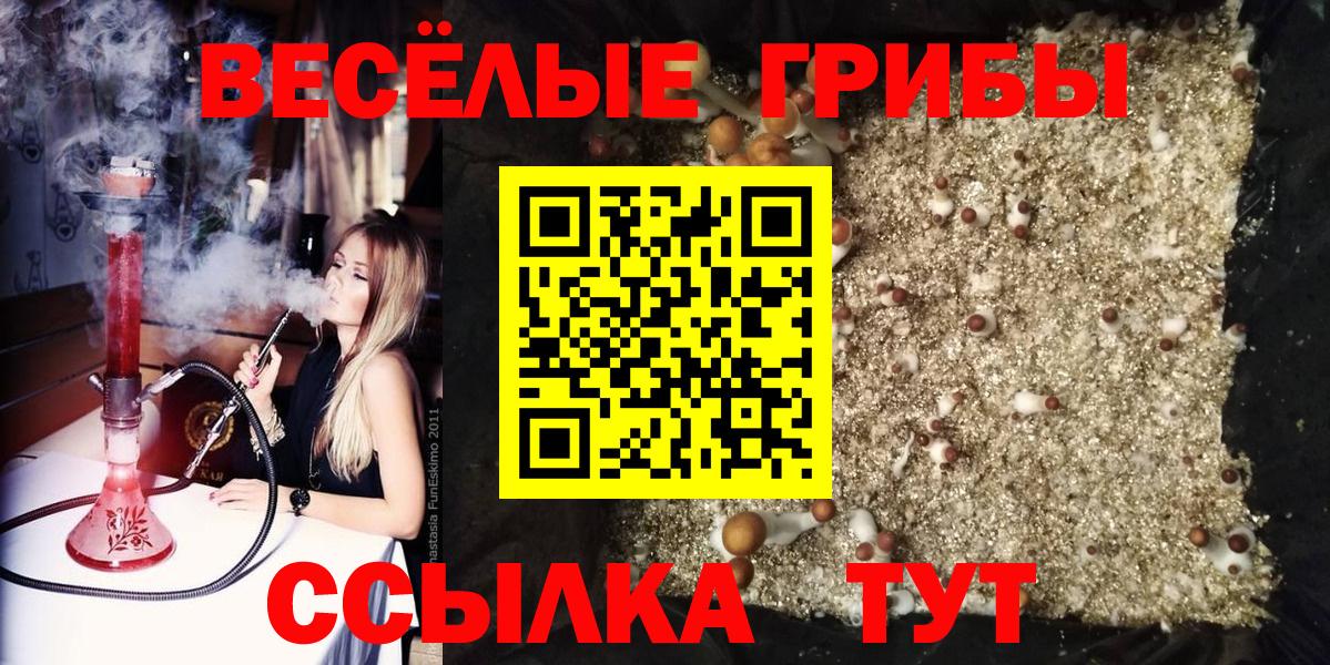 Галлюциногенные грибы ЛСД Лабытнанги